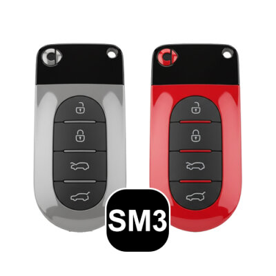 Smart Formulário chave (SM3)