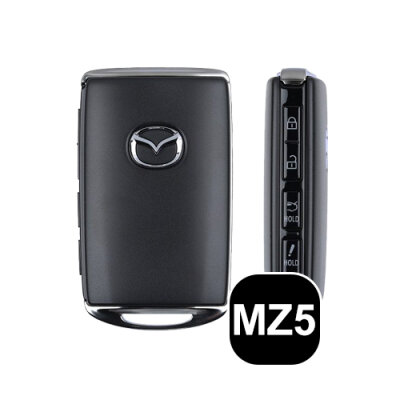 Schlüssel Typ MZ5
