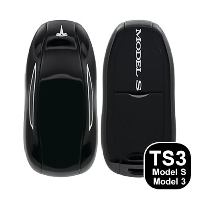 Schlüssel Typ TS3