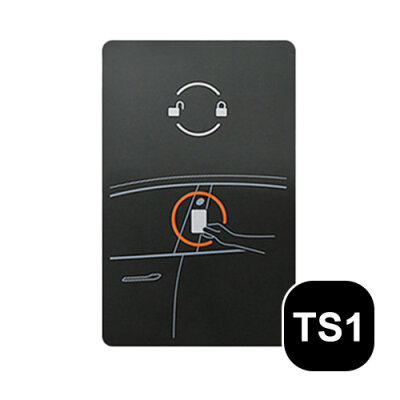 Schlüssel Typ TS1