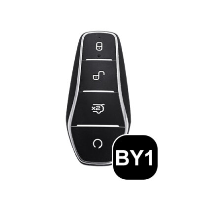 Schlüssel Typ BY1
