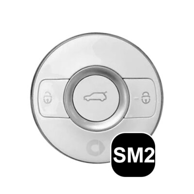 Smart Formulário chave (SM2)