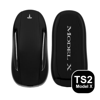 Schlüssel Typ TS2