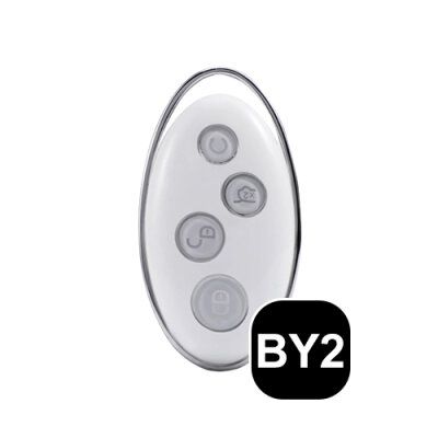 Schlüssel Typ BY2