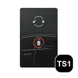 Tesla Schlüssel TS1